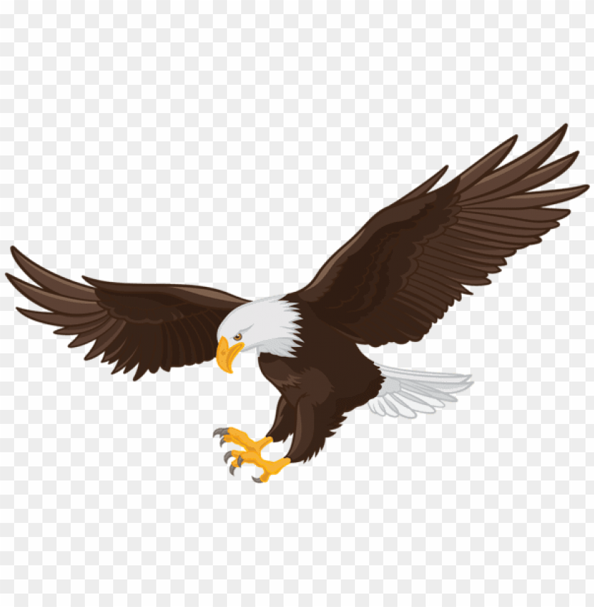 Detail Png Eagle Nomer 1