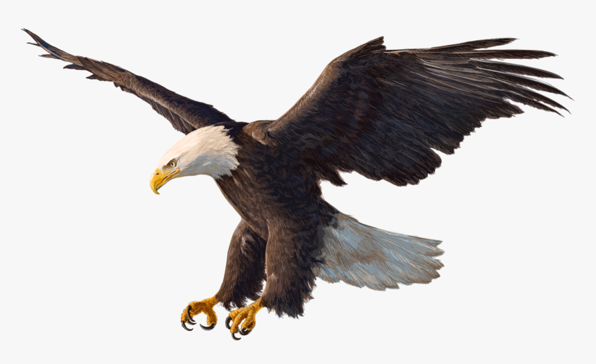 Detail Png Eagle Nomer 8