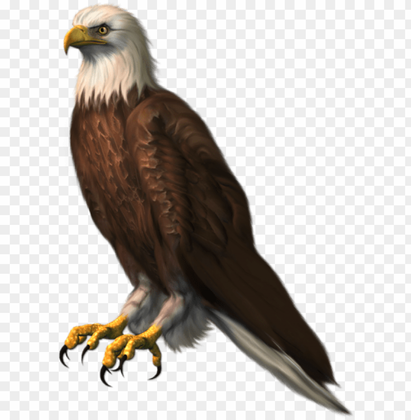 Detail Png Eagle Nomer 19