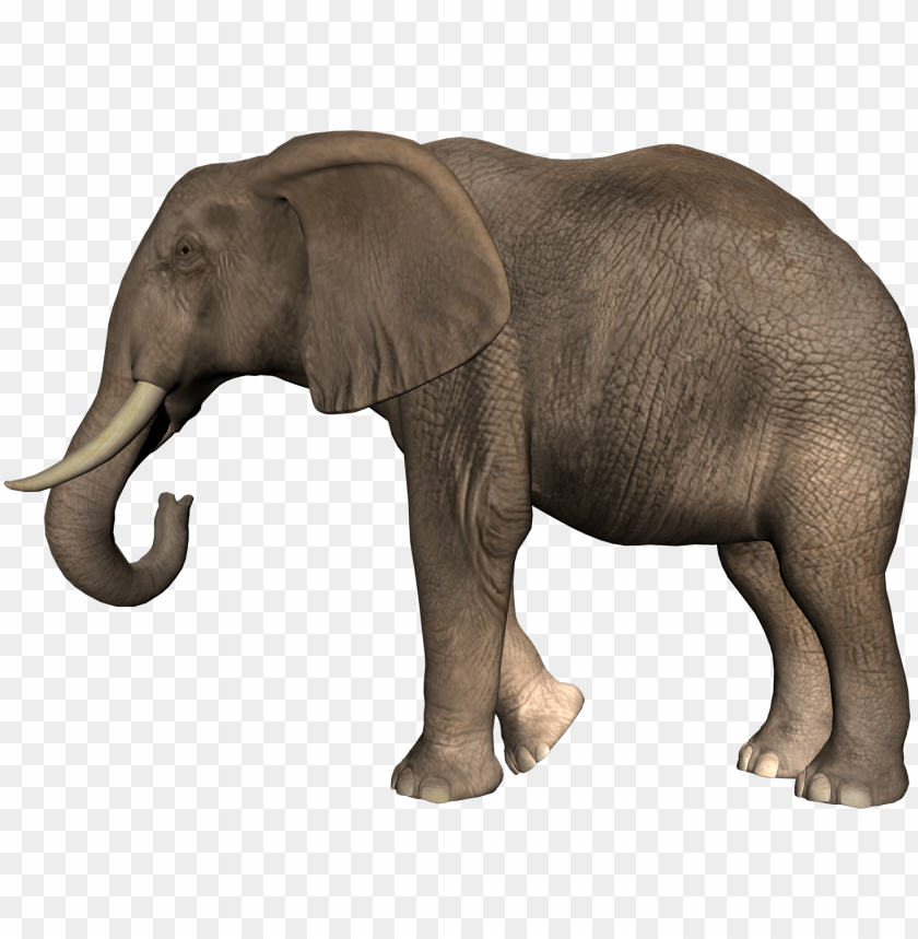 Detail Png Elephant Nomer 33