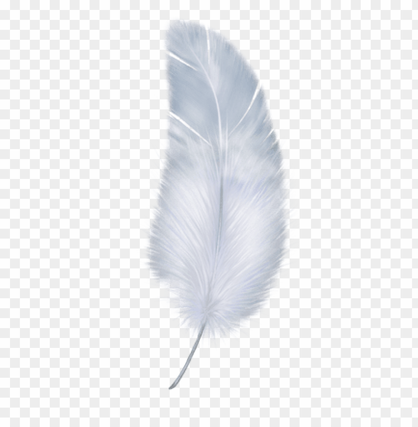 Detail Png Feather Nomer 2