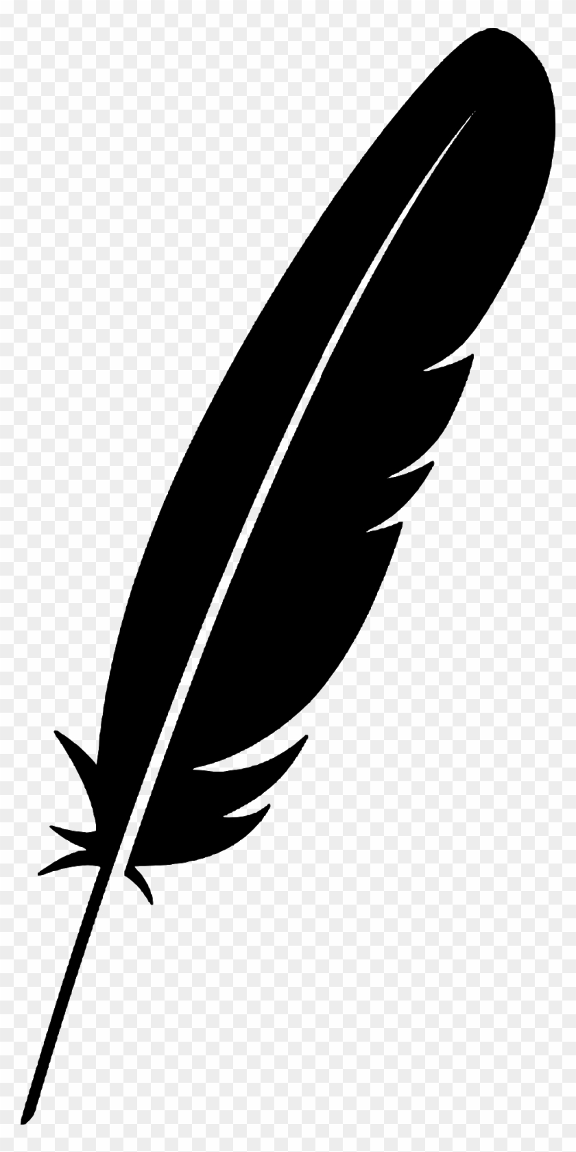 Detail Png Feather Nomer 33