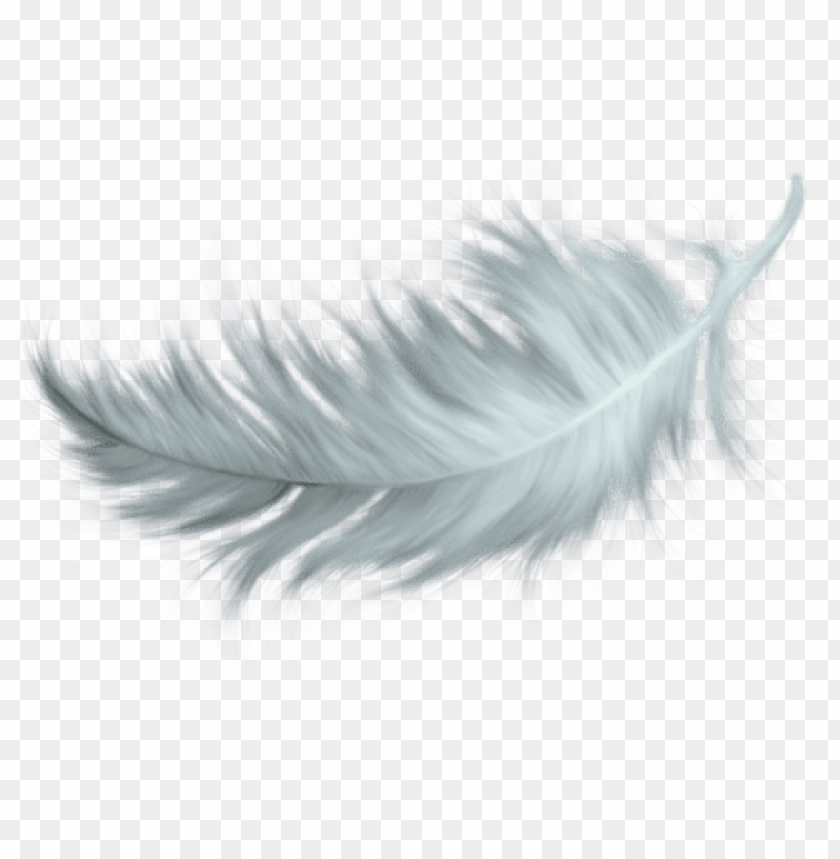 Detail Png Feathers Nomer 10
