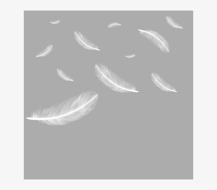 Detail Png Feathers Nomer 29