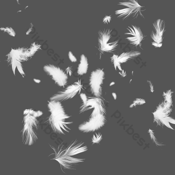 Detail Png Feathers Nomer 35