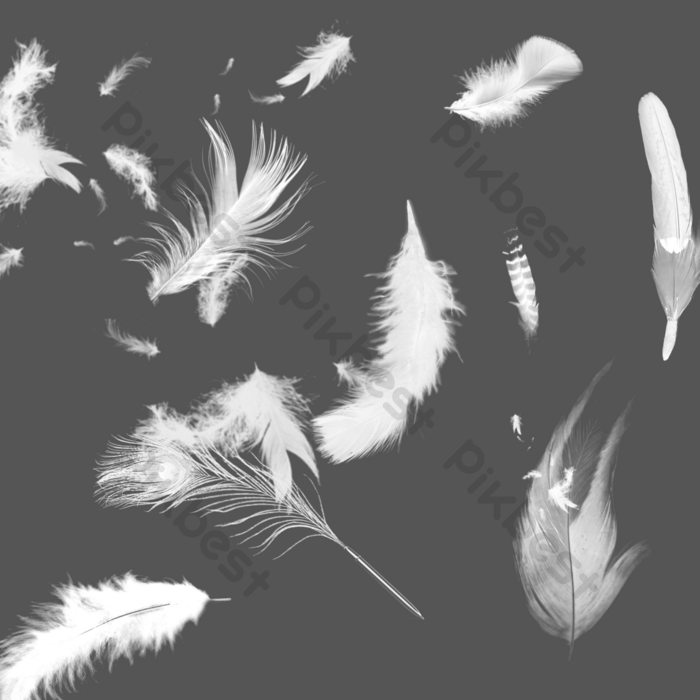 Detail Png Feathers Nomer 42