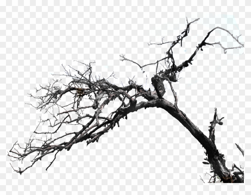 Png File For Photoshop - KibrisPDR