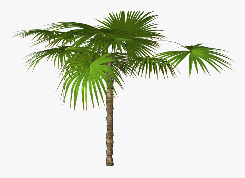 Detail Png File For Photoshop Nomer 2