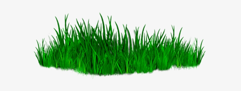Detail Png File For Photoshop Nomer 13