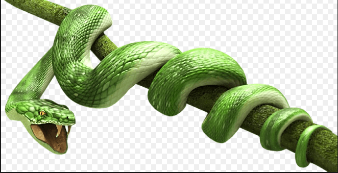 Detail Png File For Photoshop Nomer 21
