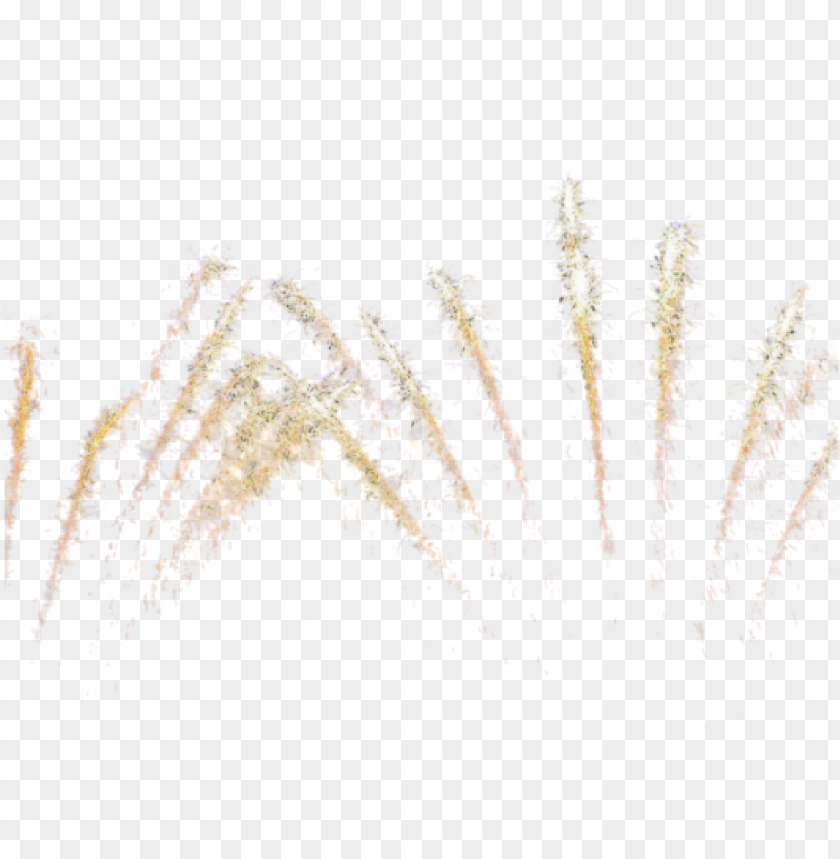 Detail Png Fireworks Nomer 28