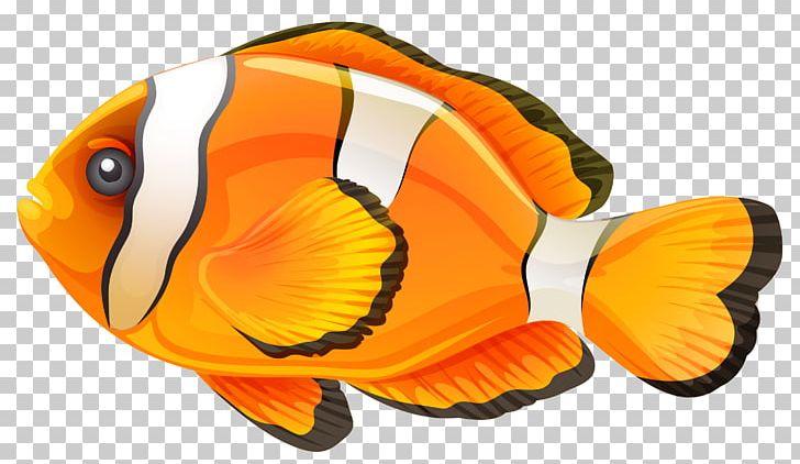 Detail Png Fish Nomer 19