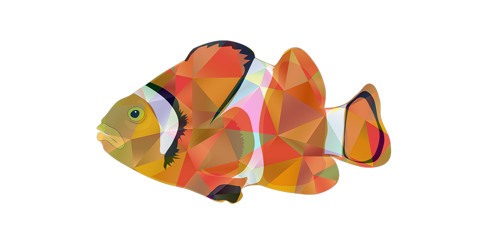 Detail Png Fish Nomer 41