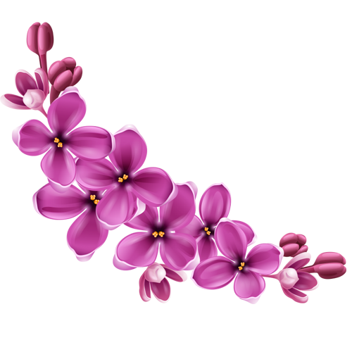 Detail Png Flowers Nomer 34