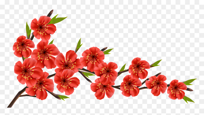 Detail Png Flowers Images Nomer 16