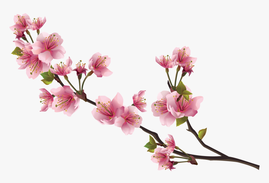 Detail Png Flowers Images Nomer 36