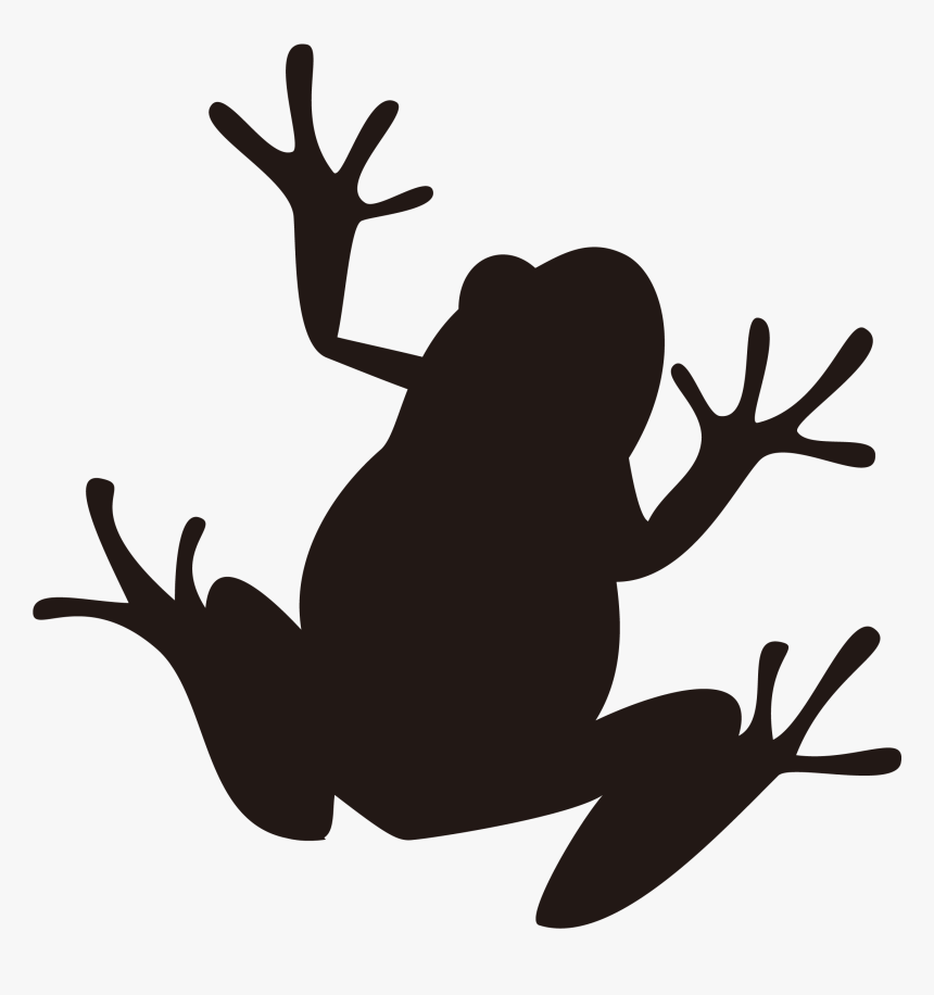 Detail Png Frog Nomer 35