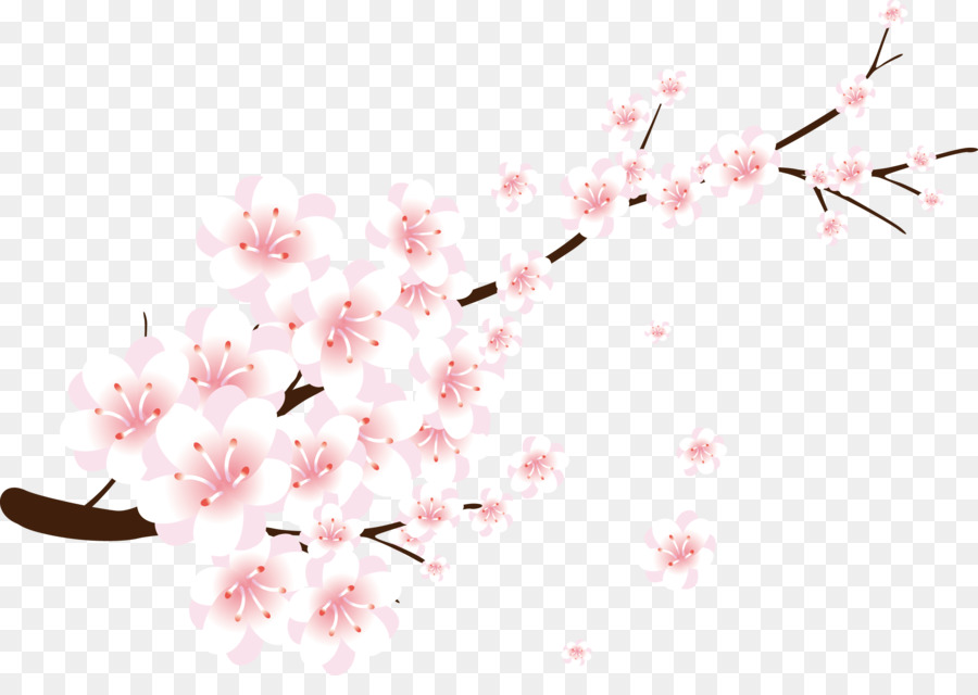Detail Png Gratis Download Nomer 10