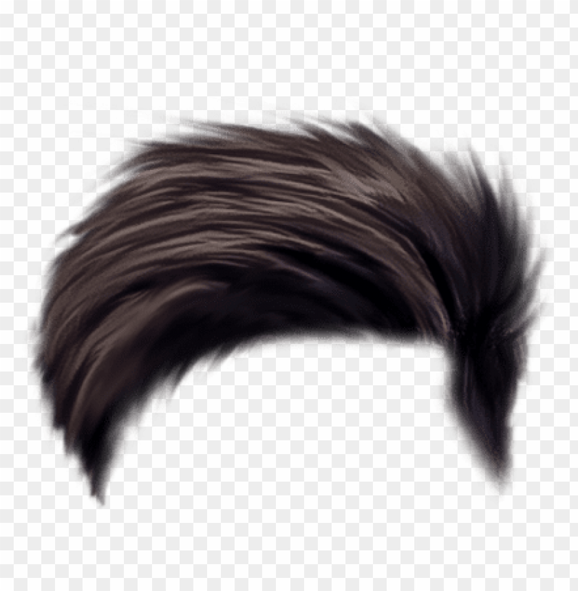 Detail Png Hair Nomer 9