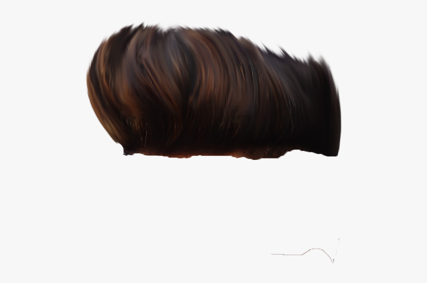 Detail Png Hair Nomer 32