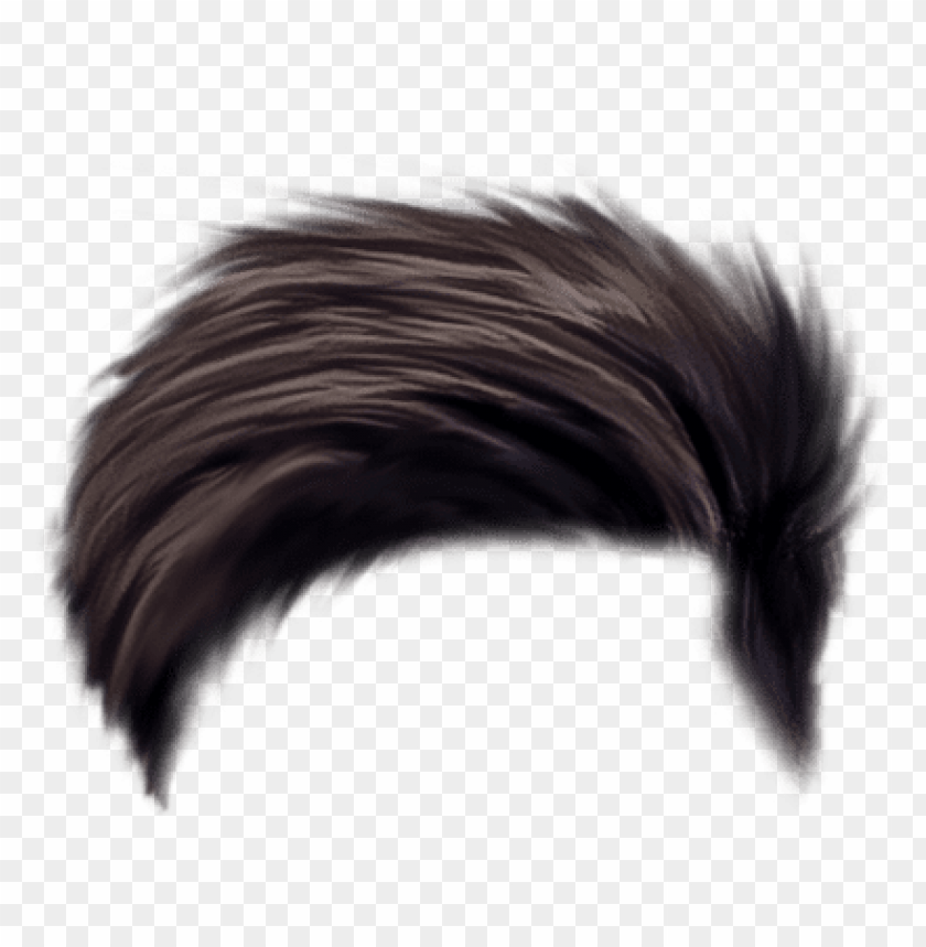 Detail Png Hair Style Nomer 6