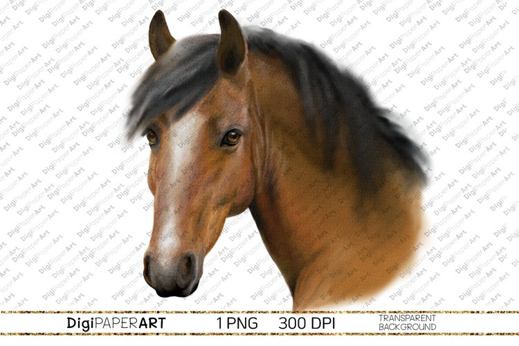 Detail Png Horse Nomer 54