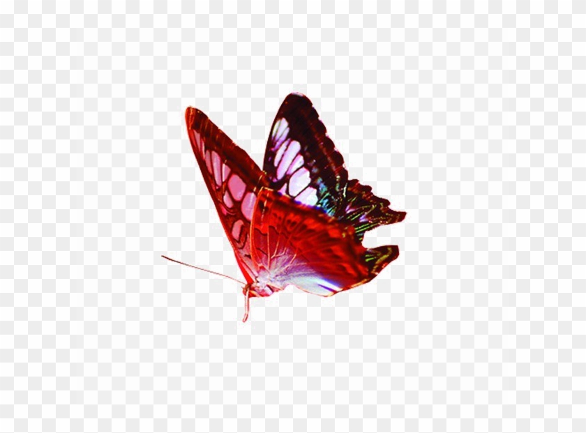 Detail Png Image With Transparent Background Nomer 10