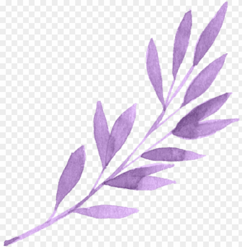 Detail Png Image With Transparent Background Nomer 12
