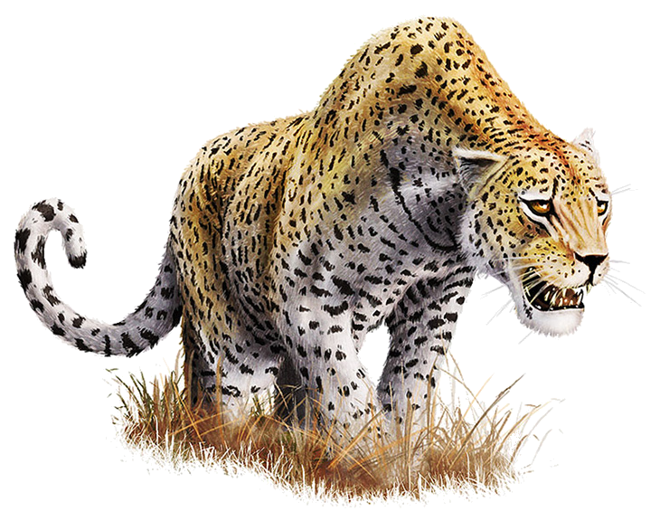 Detail Png Image With Transparent Background Nomer 36