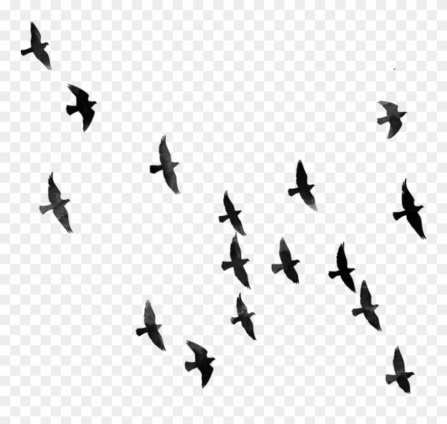 Detail Png Images Background Nomer 33
