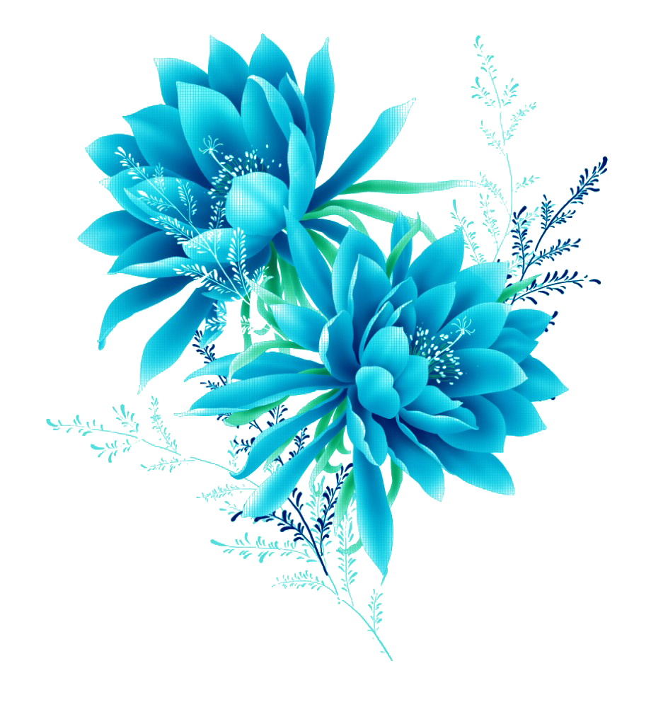 Detail Png Images Transparent Background Nomer 30