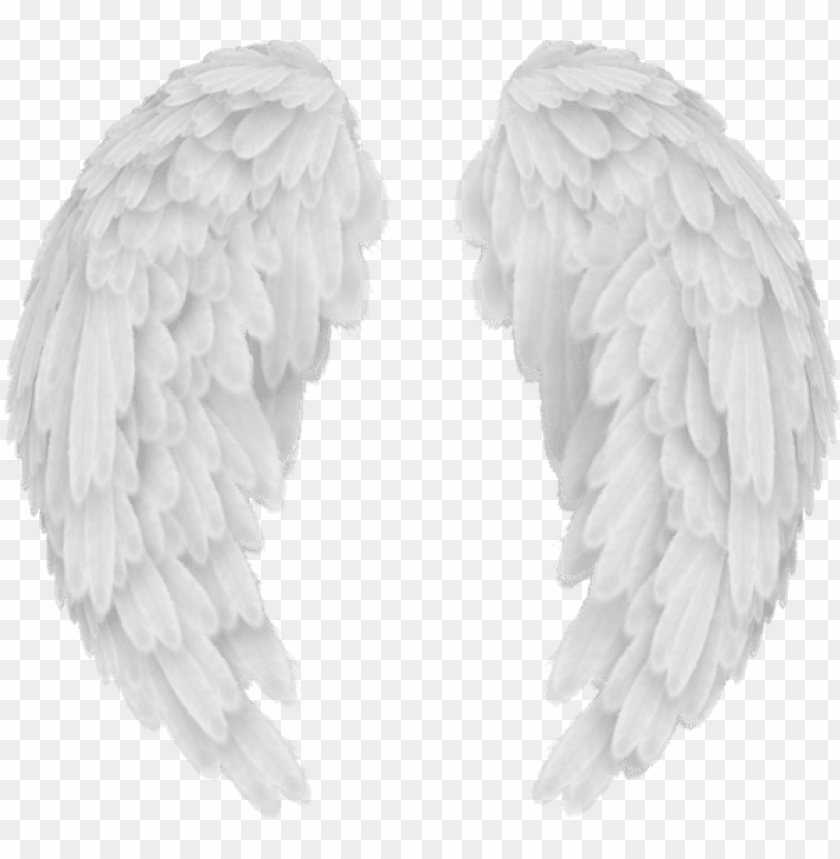 Detail Png Images With Transparent Background Nomer 34