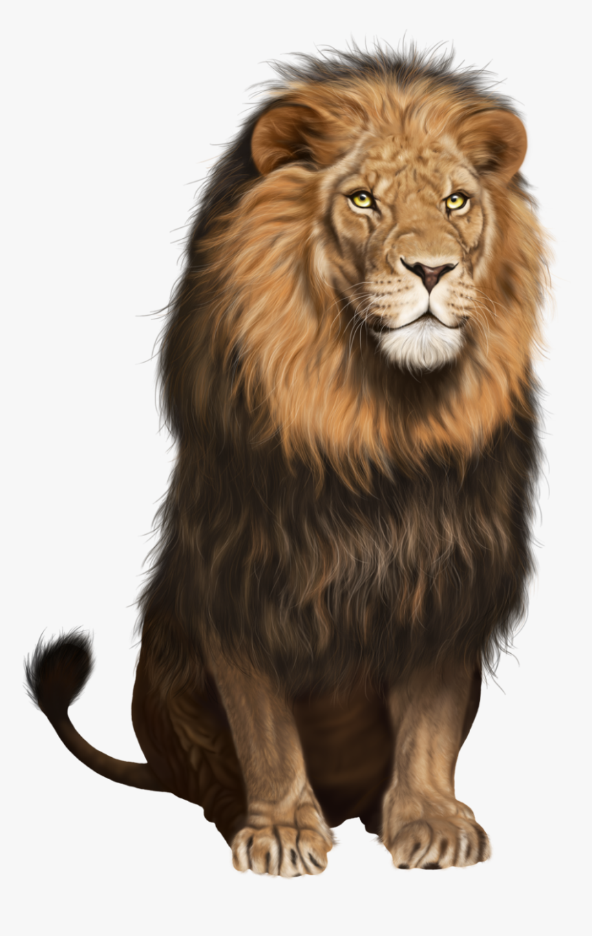 Detail Png Lion Nomer 14