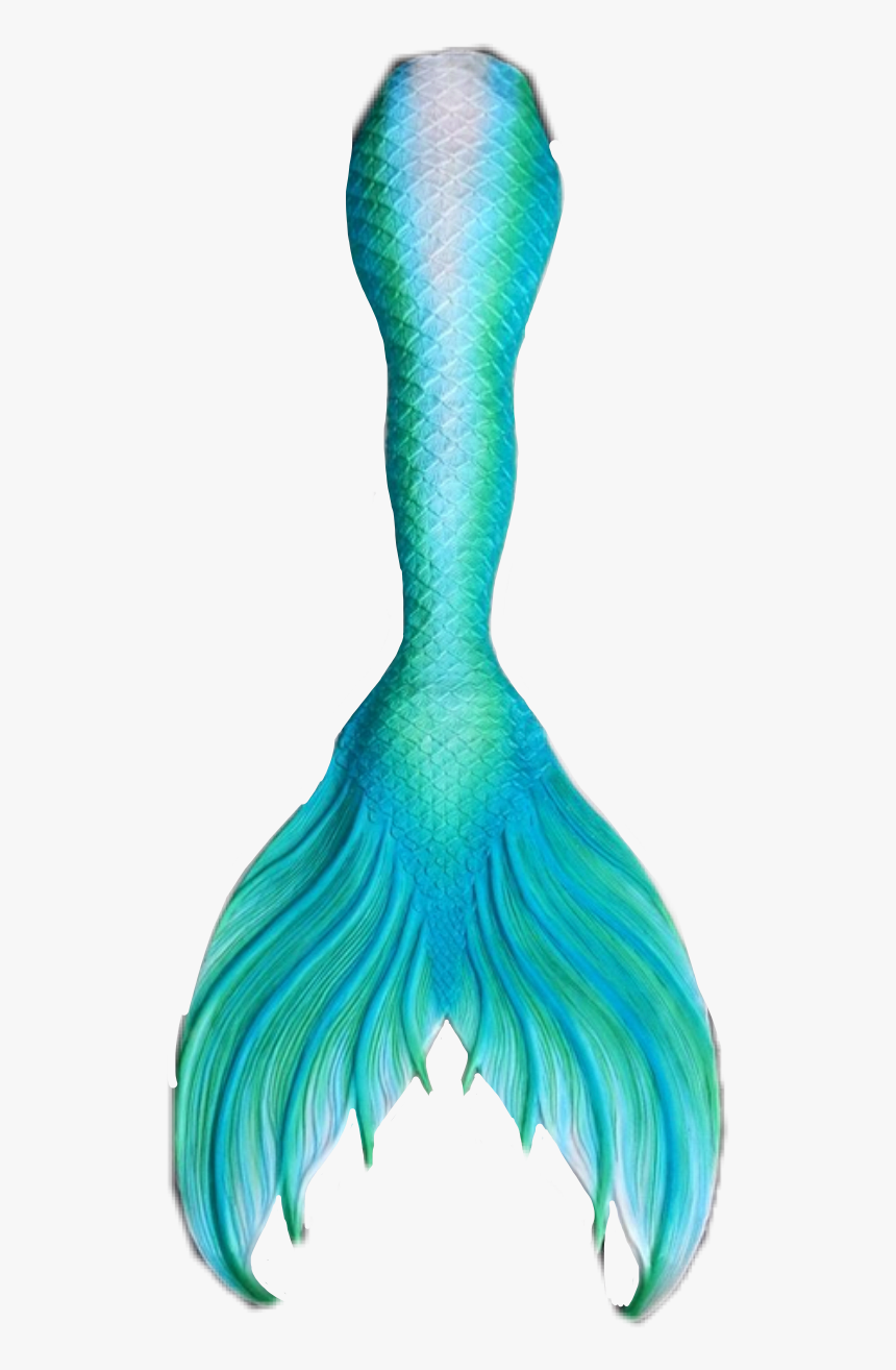 Detail Png Mermaid Nomer 34