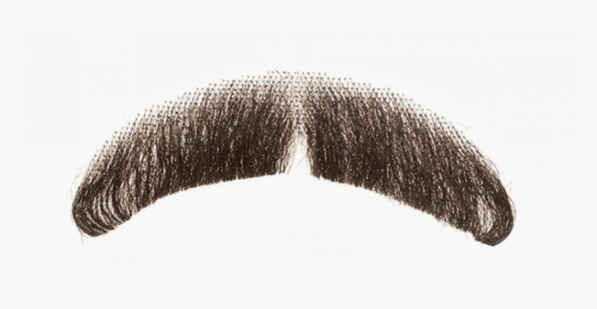 Detail Png Mustache Nomer 19