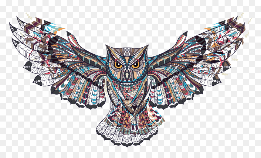 Detail Png Owl Nomer 22