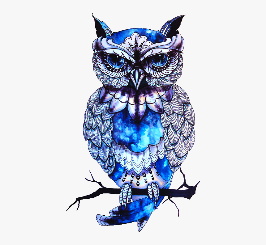 Detail Png Owl Nomer 25