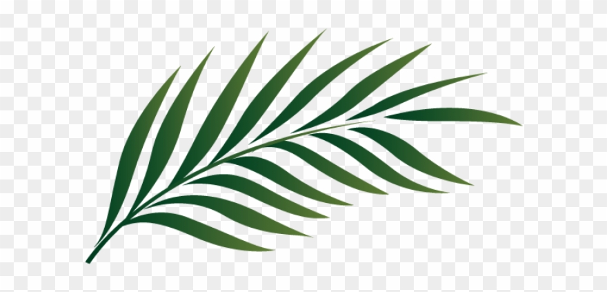 Detail Png Palm Leaves Nomer 23
