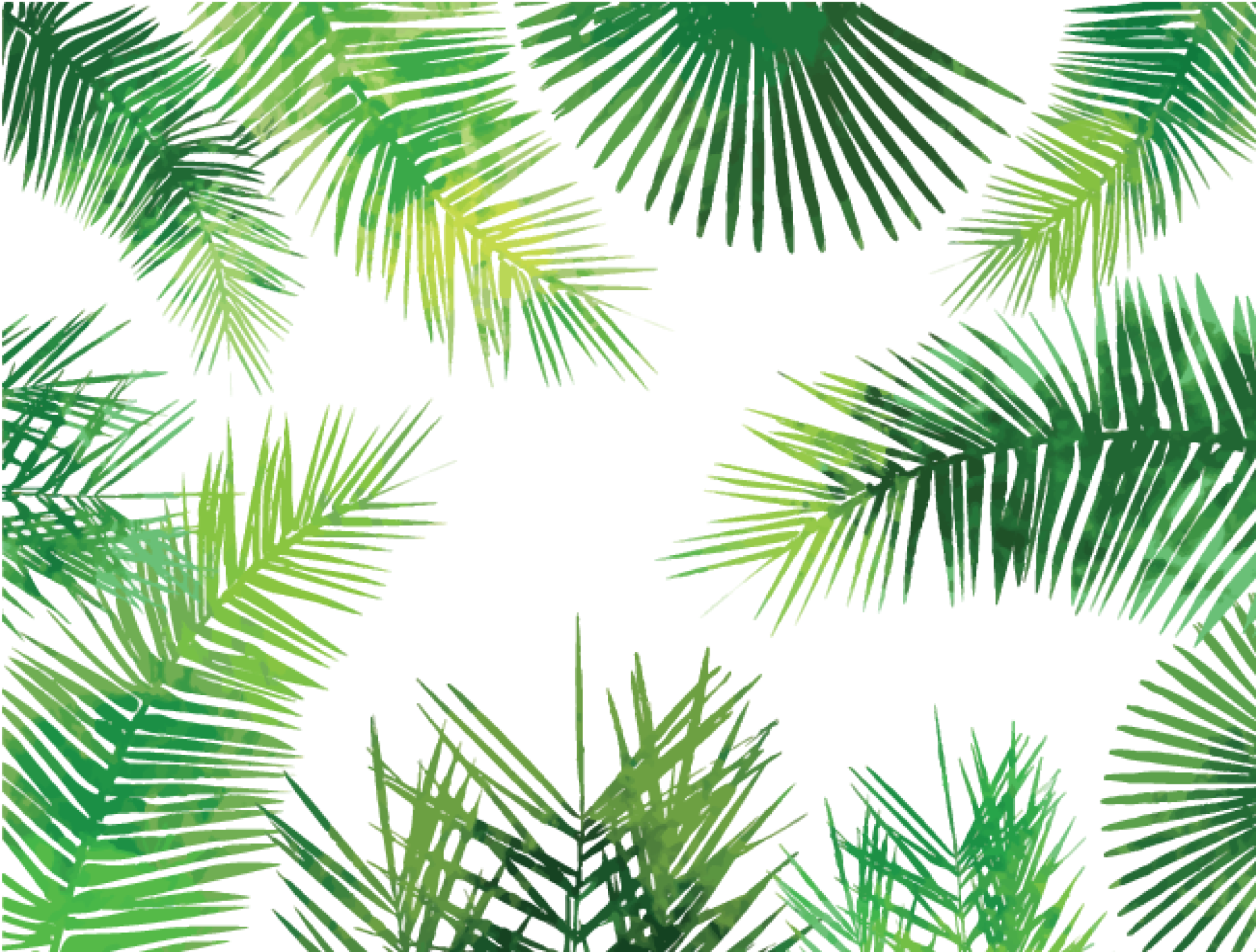 Detail Png Palm Leaves Nomer 34