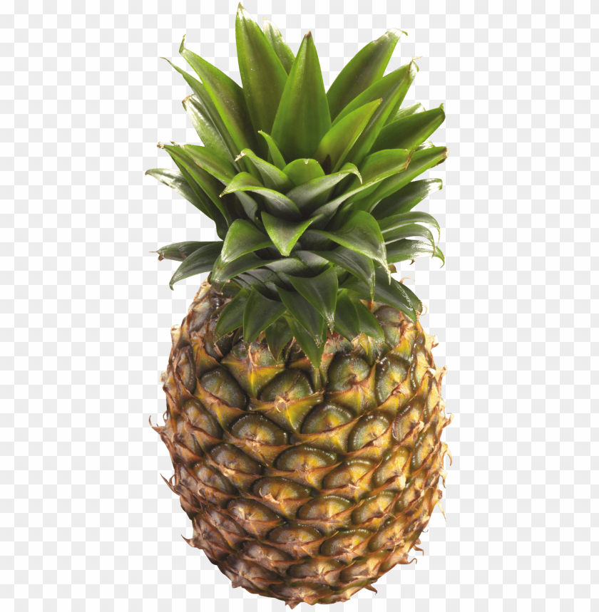 Detail Png Pineapple Nomer 12