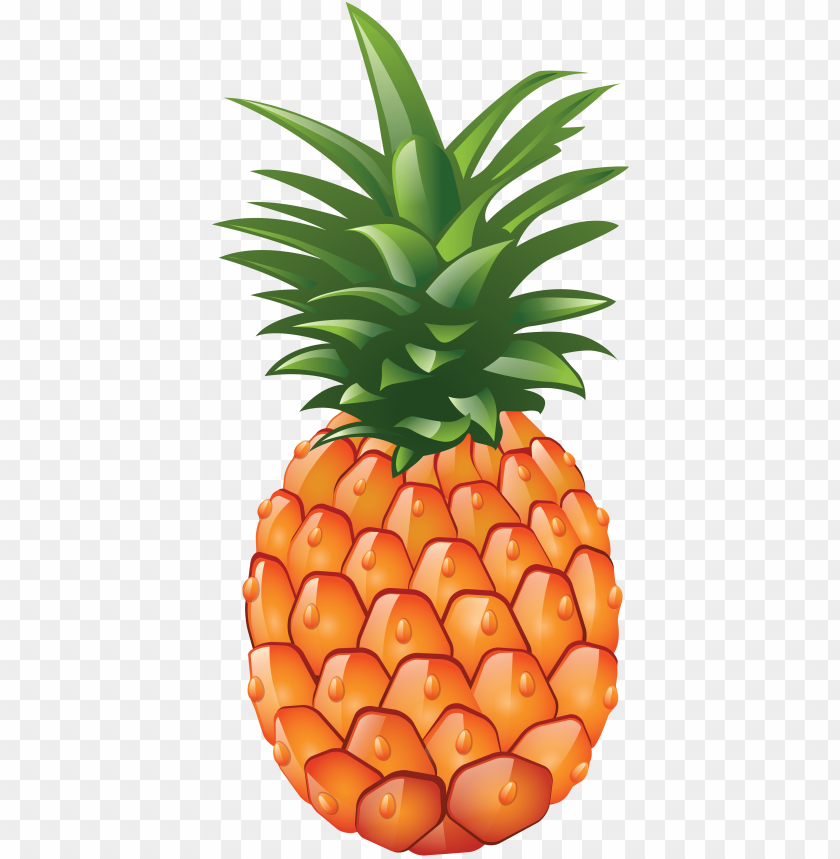 Detail Png Pineapple Nomer 45