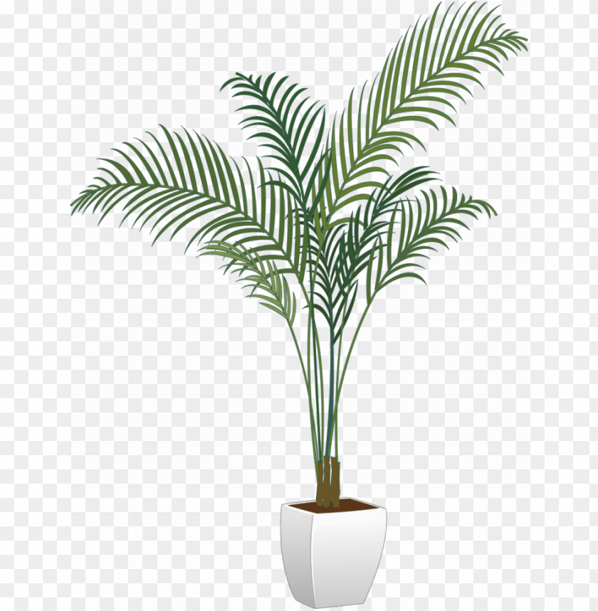 Detail Png Plant Images Nomer 12