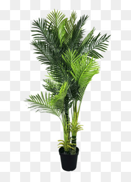 Detail Png Plant Images Nomer 43