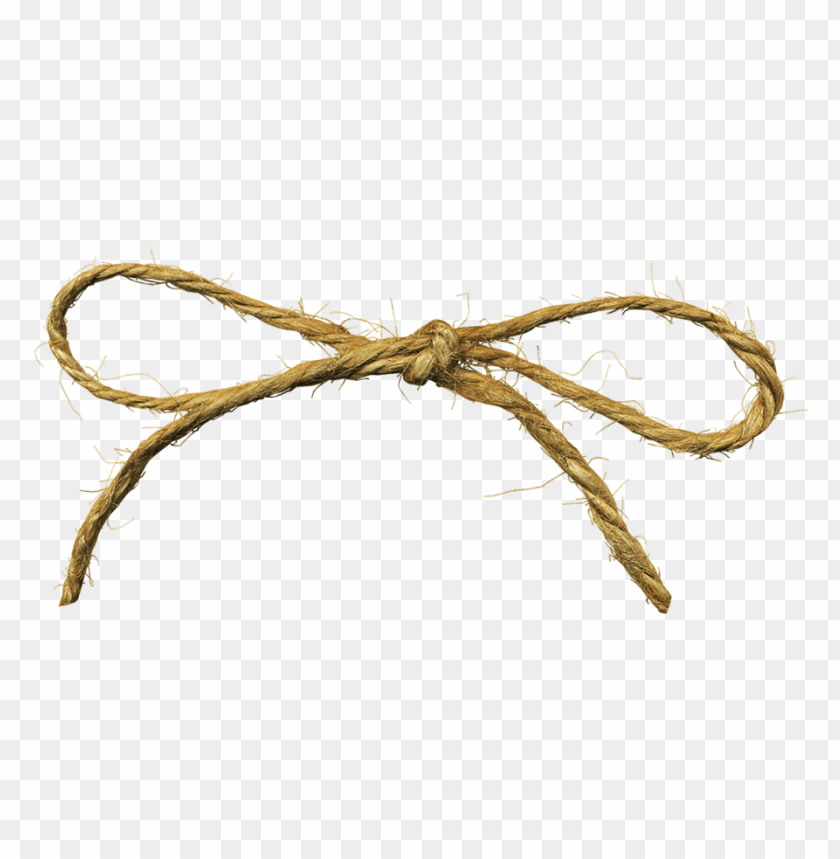 Detail Png Rope Nomer 12