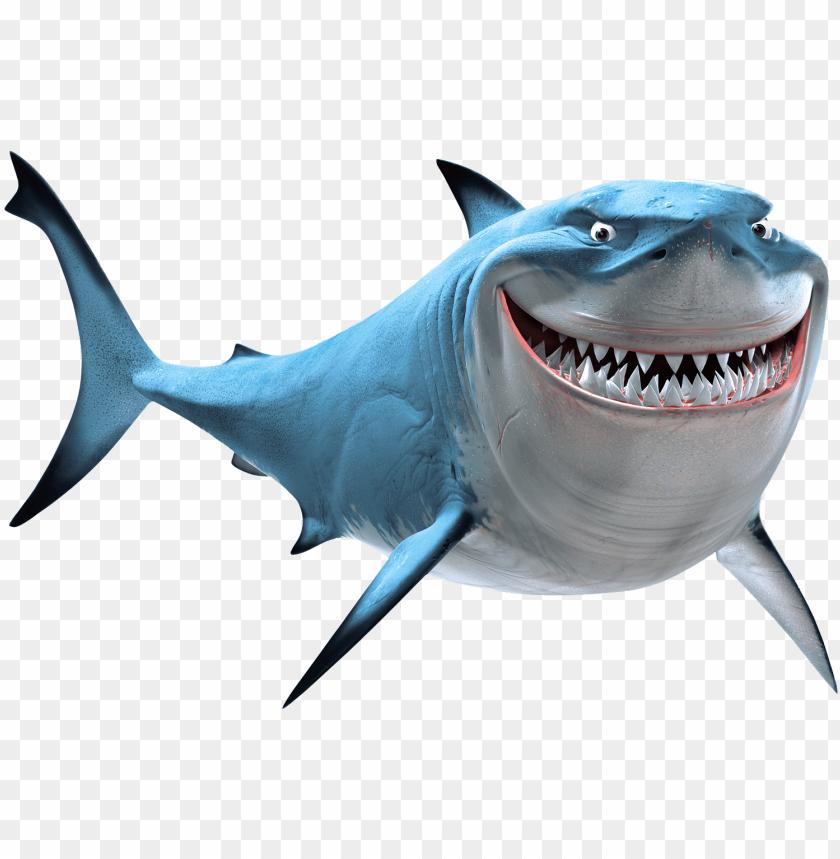 Detail Png Shark Nomer 3