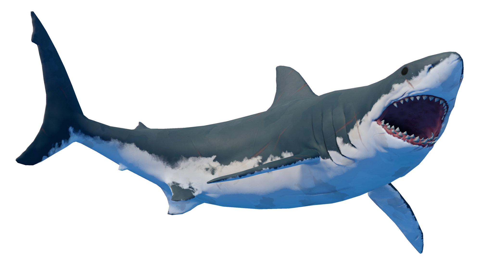 Detail Png Shark Nomer 21