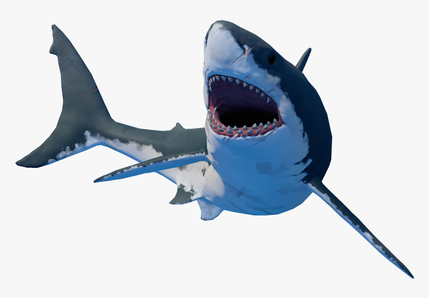 Detail Png Shark Nomer 27