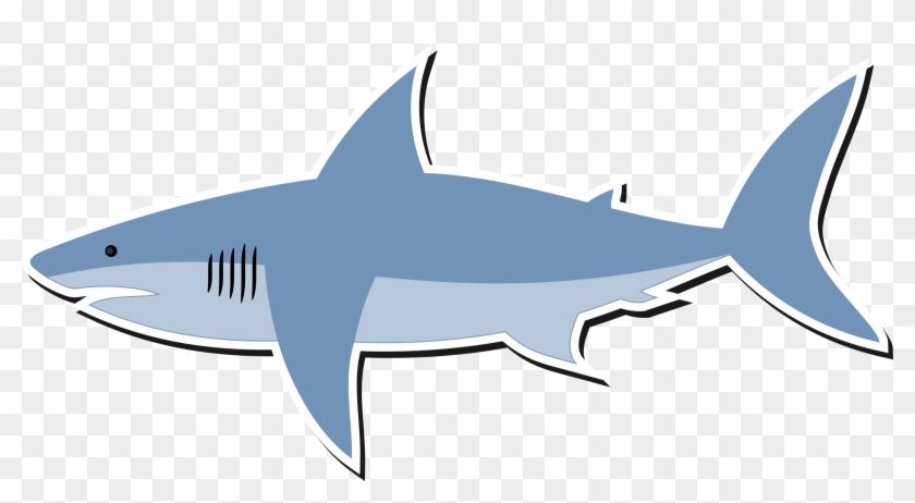 Detail Png Shark Nomer 52