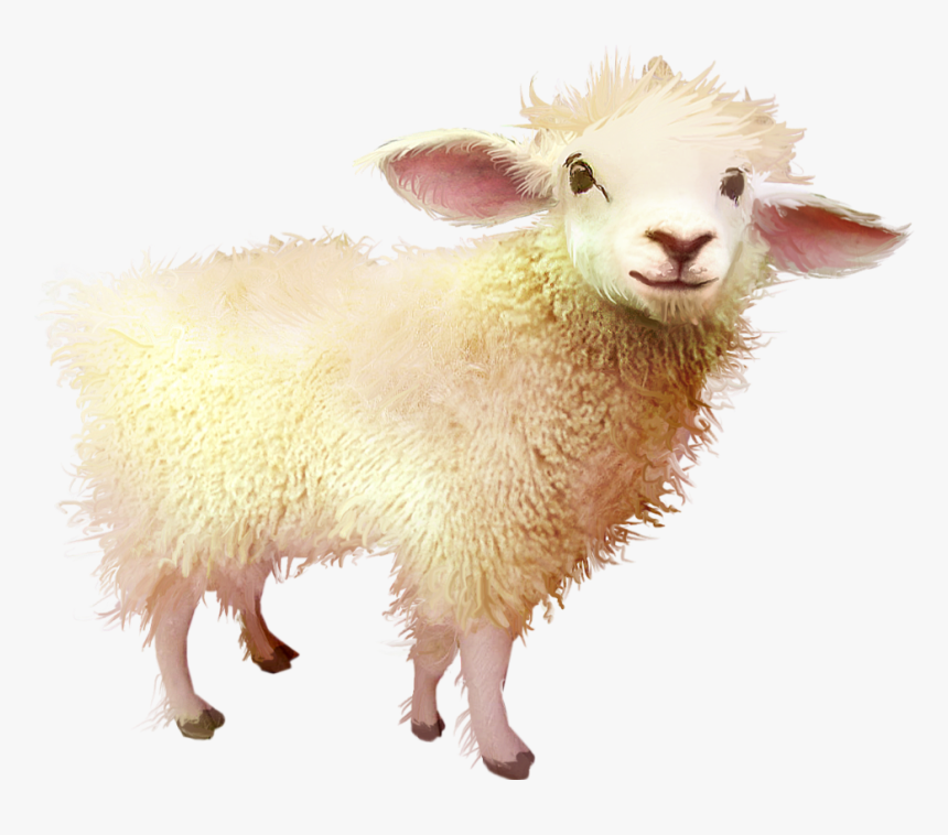 Detail Png Sheep Nomer 30