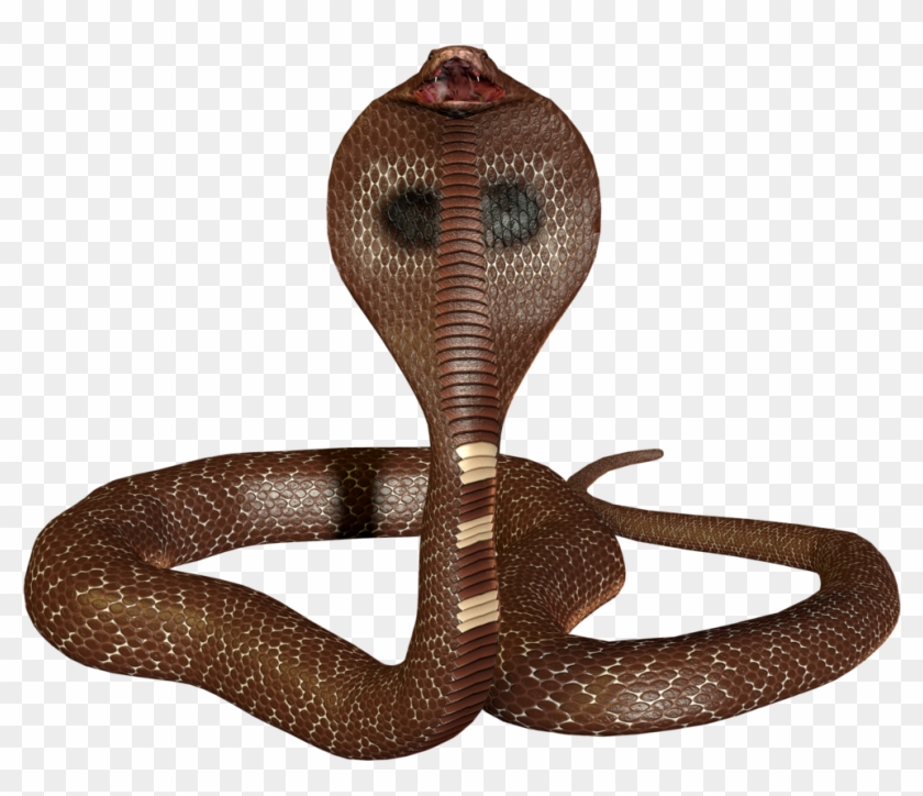 Detail Png Snake Nomer 16